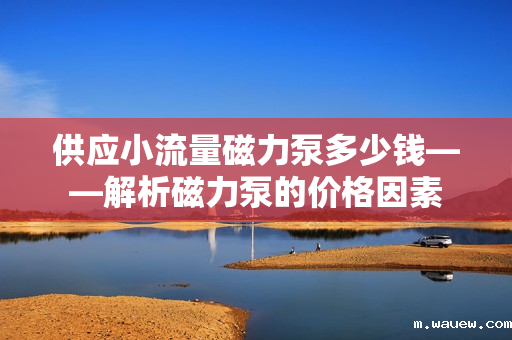 供应小流量磁力泵多少钱——解析磁力泵的价格因素 供应小流量磁力泵多少钱——解析磁力泵的价格因素