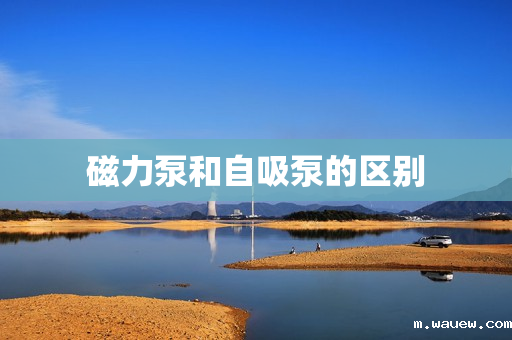 磁力泵和自吸泵的区别 磁力泵和自吸泵的区别