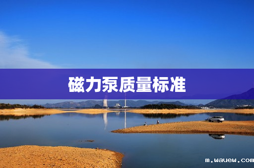 磁力泵质量标准 磁力泵质量标准