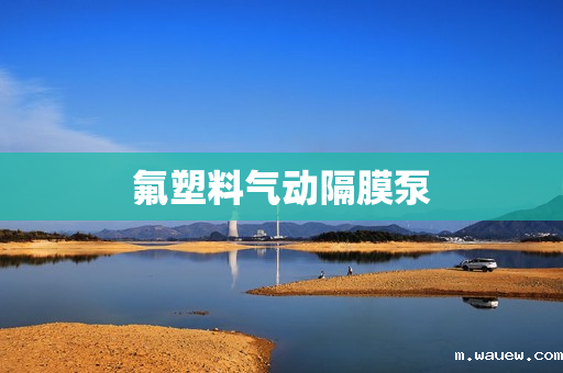 氟塑料气动隔膜泵 氟塑料气动隔膜泵