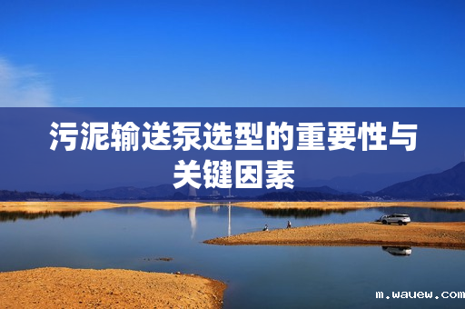污泥输送泵选型的重要性与关键因素 污泥输送泵选型的重要性与关键因素