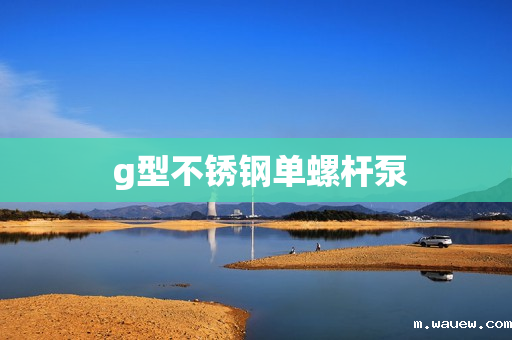 g型不锈钢单螺杆泵 g型不锈钢单螺杆泵