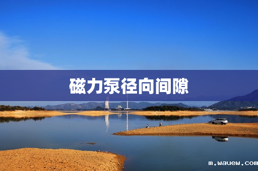 磁力泵径向间隙 磁力泵径向间隙