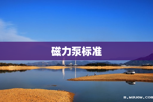 磁力泵标准 磁力泵标准