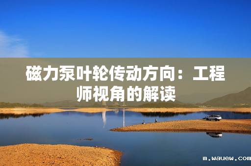 磁力泵叶轮传动方向:工程师视角的解读 磁力泵叶轮传动方向:工程师视角的解读