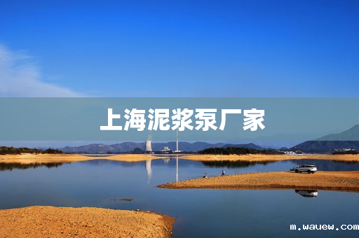 上海泥浆泵厂家 上海泥浆泵厂家