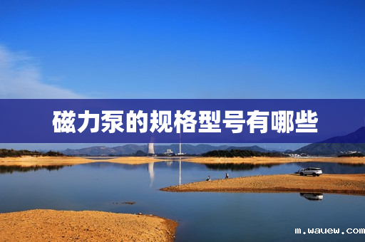 磁力泵的规格型号有哪些 磁力泵的规格型号有哪些