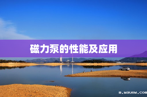 磁力泵的性能及应用 磁力泵的性能及应用