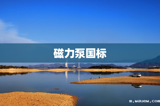 磁力泵国标 磁力泵国标