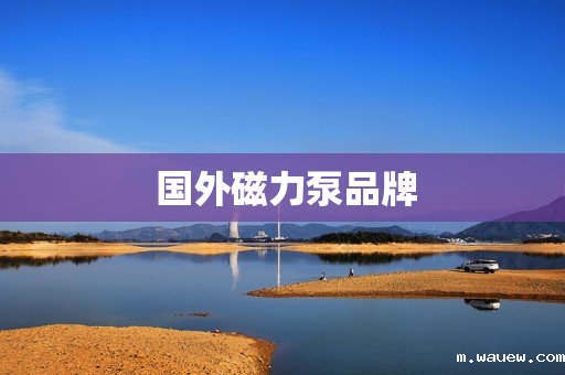 国外磁力泵品牌 国外磁力泵品牌