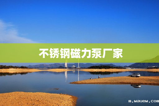 不锈钢磁力泵厂家 不锈钢磁力泵厂家