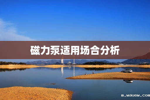 磁力泵适用场合分析 磁力泵适用场合分析