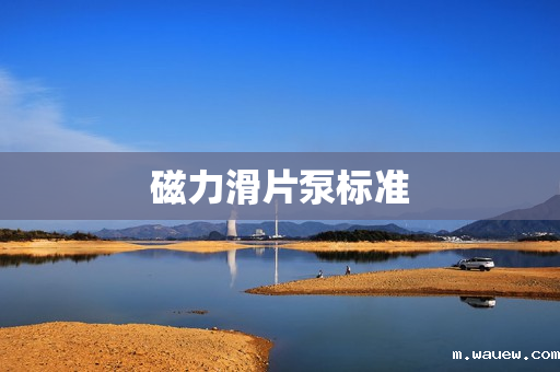 磁力滑片泵标准 磁力滑片泵标准