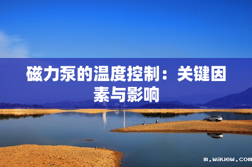 磁力泵的温度控制:关键因素与影响 磁力泵的温度控制:关键因素与影响