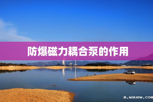 防爆磁力耦合泵的作用 防爆磁力耦合泵的作用