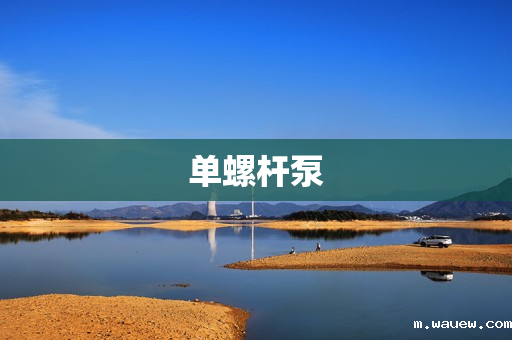 单螺杆泵 单螺杆泵