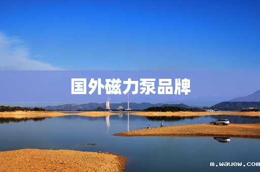 国外磁力泵品牌 国外磁力泵品牌