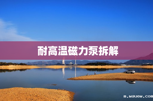 耐高温磁力泵拆解 耐高温磁力泵拆解