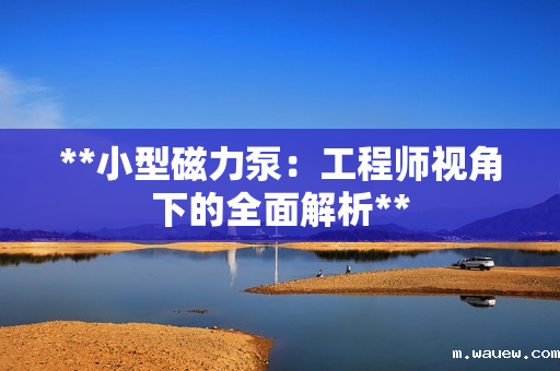 **小型磁力泵:工程师视角下的全面解析** **小型磁力泵:工程师视角下的全面解析**