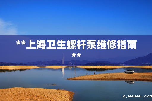 **上海卫生螺杆泵维修指南** **上海卫生螺杆泵维修指南**