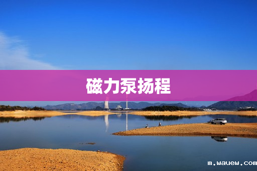 磁力泵扬程 磁力泵扬程