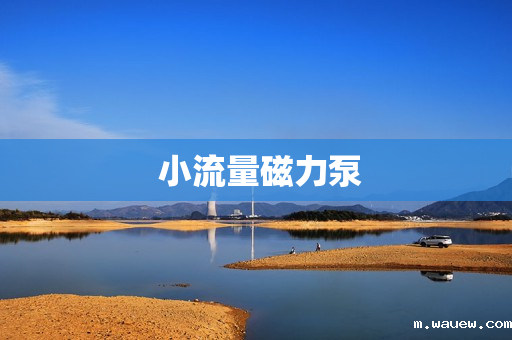 小流量磁力泵 小流量磁力泵