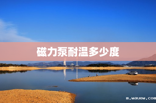 磁力泵耐温多少度 磁力泵耐温多少度