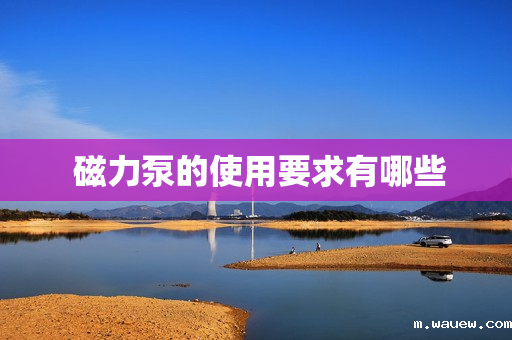 磁力泵的使用要求有哪些 磁力泵的使用要求有哪些