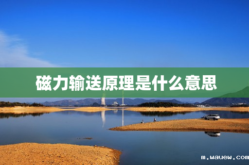 磁力输送原理是什么意思 磁力输送原理是什么意思