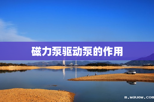 磁力泵驱动泵的作用 磁力泵驱动泵的作用