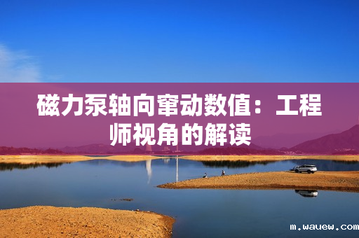 磁力泵轴向窜动数值:工程师视角的解读 磁力泵轴向窜动数值:工程师视角的解读