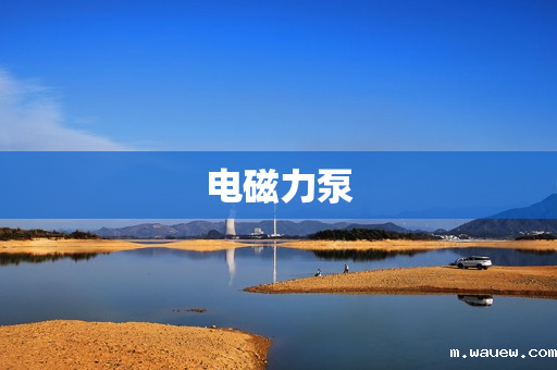 电磁力泵 电磁力泵