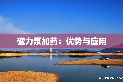 磁力泵加药:优势与应用 磁力泵加药:优势与应用