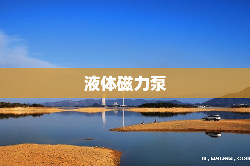 液体磁力泵 液体磁力泵