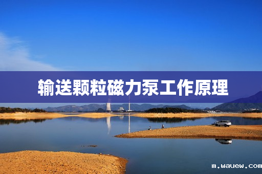 输送颗粒磁力泵工作原理 输送颗粒磁力泵工作原理