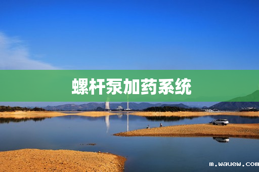 螺杆泵加药系统 螺杆泵加药系统