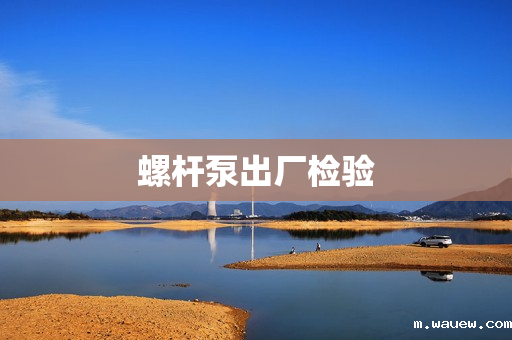 螺杆泵出厂检验 螺杆泵出厂检验