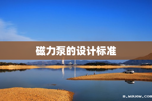 磁力泵的设计标准 磁力泵的设计标准