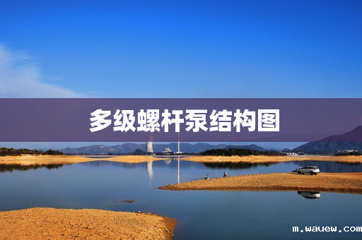 多级螺杆泵结构图 多级螺杆泵结构图