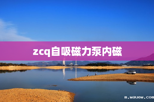 zcq自吸磁力泵内磁 zcq自吸磁力泵内磁