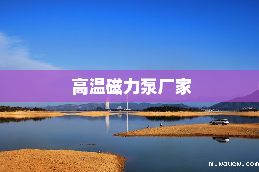 高温磁力泵厂家 高温磁力泵厂家