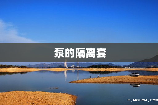 泵的隔离套 泵的隔离套