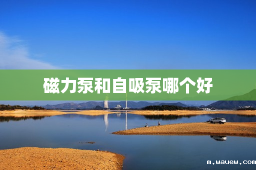 磁力泵和自吸泵哪个好 磁力泵和自吸泵哪个好