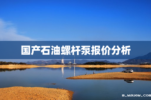 国产石油螺杆泵报价分析 国产石油螺杆泵报价分析
