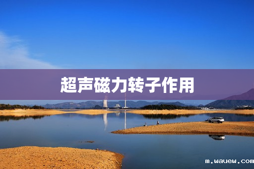 超声磁力转子作用 超声磁力转子作用