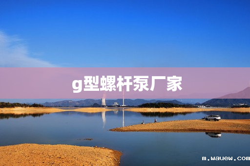 g型螺杆泵厂家 g型螺杆泵厂家