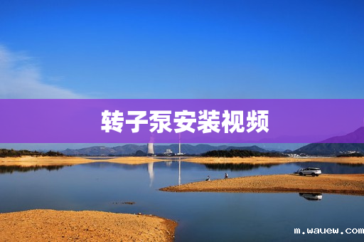 转子泵安装视频 转子泵安装视频