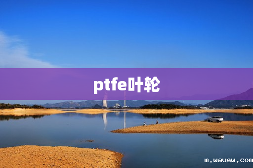 ptfe叶轮 ptfe叶轮