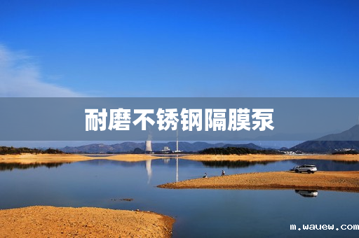 耐磨不锈钢隔膜泵 耐磨不锈钢隔膜泵