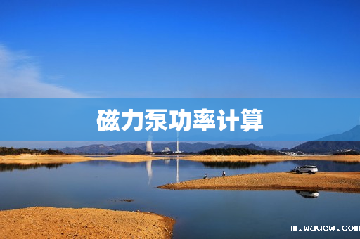 磁力泵功率计算 磁力泵功率计算